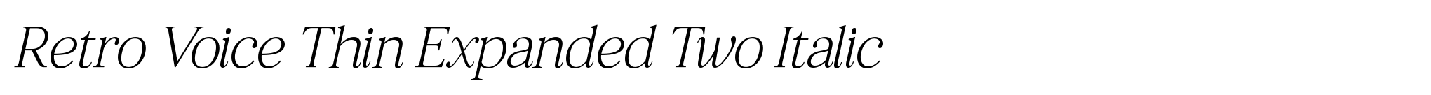 Retro Voice Thin Expanded Two Italic image